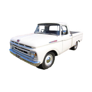 F100