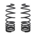 OME-ARB Rear Coil Springs for 2024-2025 Toyota Land Cruiser 160-285 lbf-in