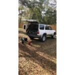 OME 2″ Lift Rear 2906 Coils for 1996-2002 Toyota 4Runner customer review image