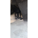 Total Chaos Lower Control Arm Cam Tab Gussets For 2010-2024 Toyota 4Runner customer review image