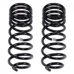 Rear OME 906 Coils for 1996-2002 Toyota 4Runner