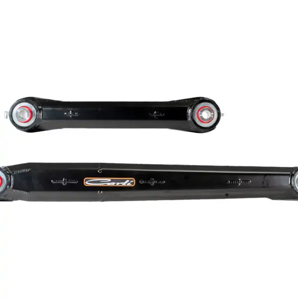 CS-BRCA-21.4