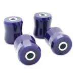 SuperPro Fiat 124 Rear Trailing Arm Lower Bushing Kit (1974) - SPF2222K