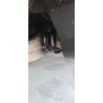 Total Chaos Lower Control Arm Cam Tab Gussets For 2010-2024 Toyota 4Runner customer review image